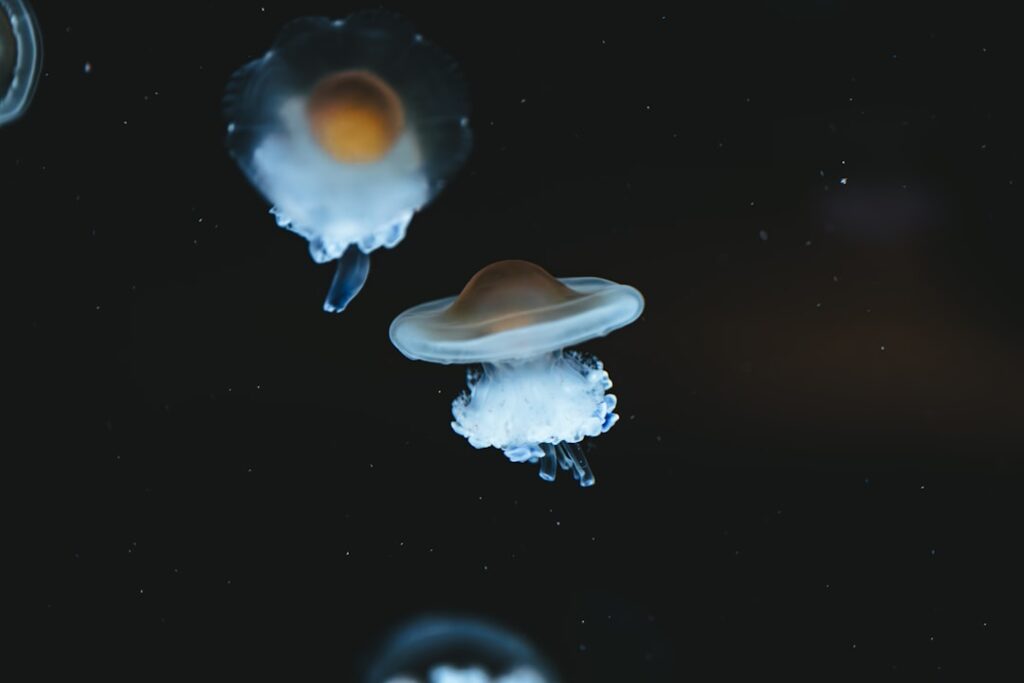 Élet a galériaágy alatt – okos megoldások