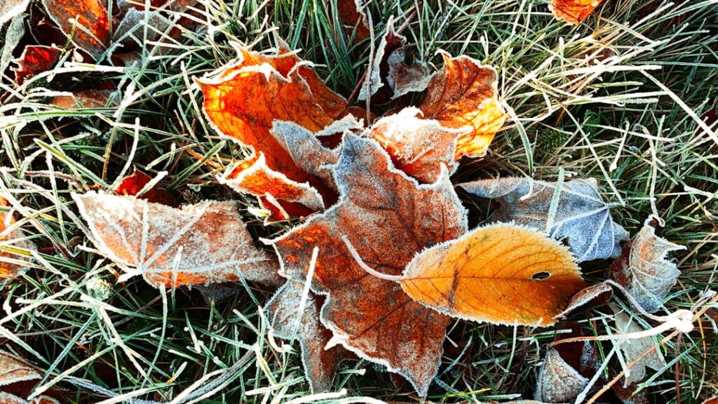 Gyors ruhaszárítás trükkjei télen