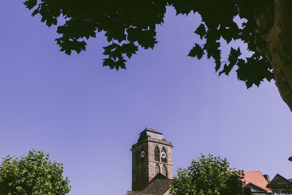 A filmes esztétika térnyerése a mindennapi vizualitásban