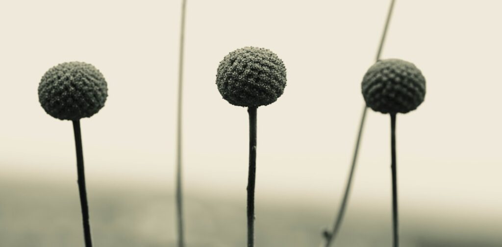 A nap végén valódi levezetés: Hogyan oldjuk fel a feszültséget és érjük el a belső békét?