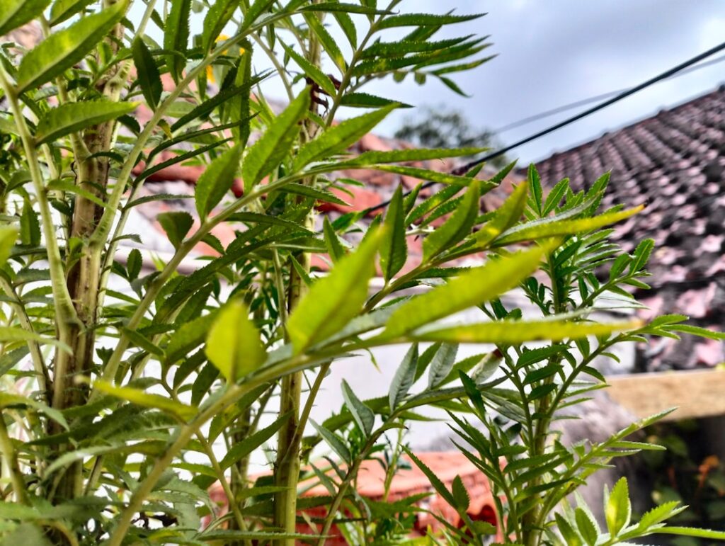 A „nem tökéletes” kultusza: Hogyan forradalmasítja a szépségipart és a társadalmi normákat a tökéletlenség elfogadása